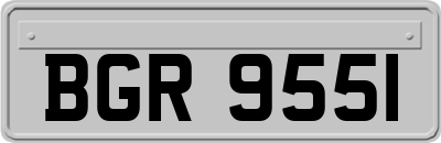 BGR9551