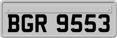 BGR9553