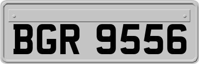 BGR9556