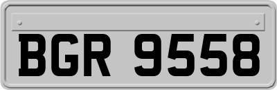 BGR9558