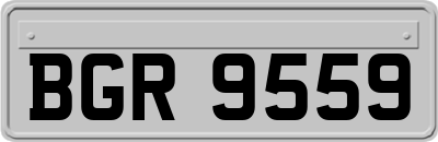 BGR9559