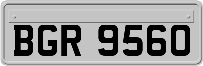 BGR9560