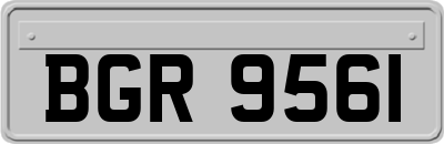 BGR9561