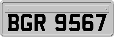 BGR9567