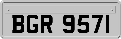 BGR9571