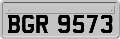 BGR9573