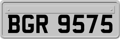 BGR9575