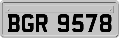 BGR9578