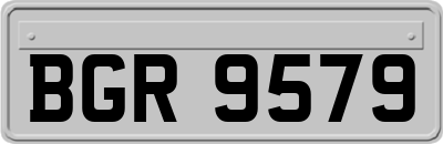 BGR9579
