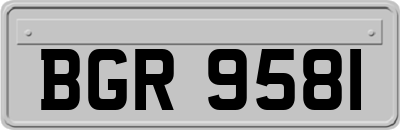 BGR9581