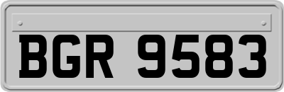 BGR9583