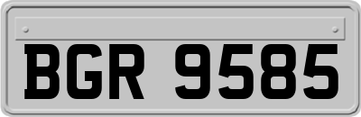 BGR9585