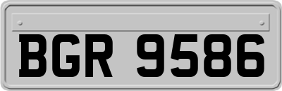 BGR9586