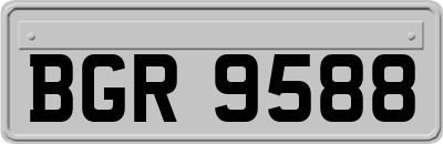 BGR9588