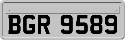BGR9589