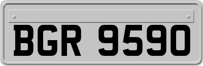BGR9590