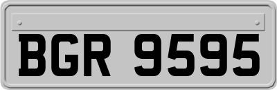 BGR9595
