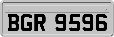 BGR9596