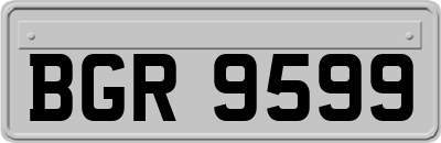 BGR9599