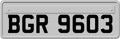BGR9603