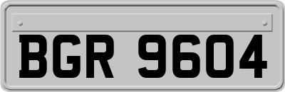 BGR9604