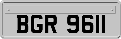 BGR9611