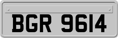 BGR9614