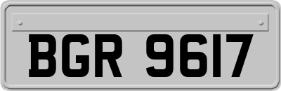 BGR9617