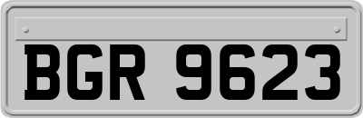BGR9623