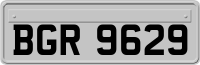 BGR9629