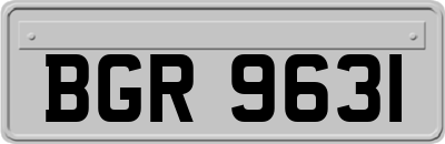 BGR9631