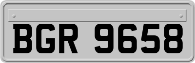BGR9658