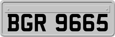 BGR9665