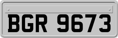 BGR9673