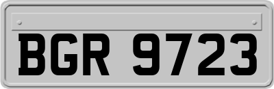 BGR9723
