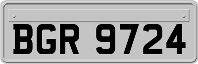 BGR9724