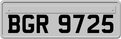 BGR9725