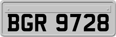 BGR9728