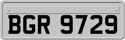 BGR9729