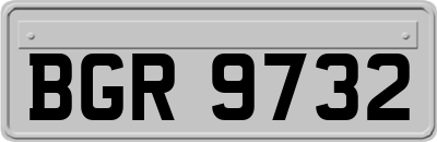 BGR9732