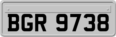 BGR9738