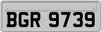BGR9739