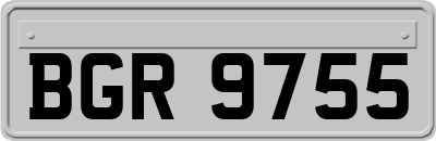 BGR9755