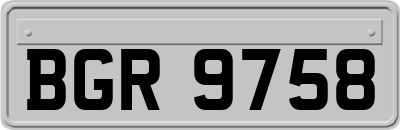 BGR9758