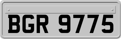 BGR9775