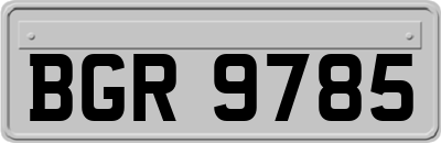 BGR9785