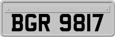 BGR9817