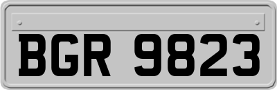 BGR9823