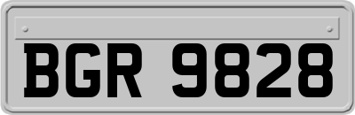 BGR9828