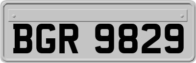 BGR9829